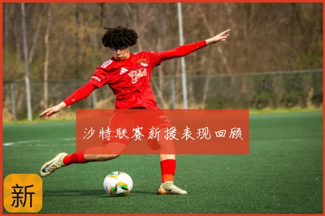 沙特联赛新援表现回顾