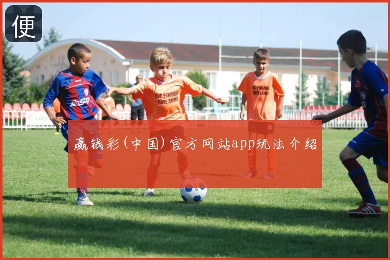 赢钱彩(中国)官方网站app玩法介绍
